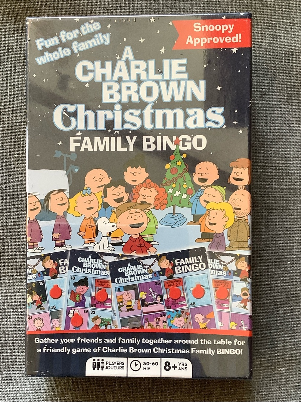 NEW Peanuts A Charlie Brown Christmas Family Bingo Game -Sealed NIB
